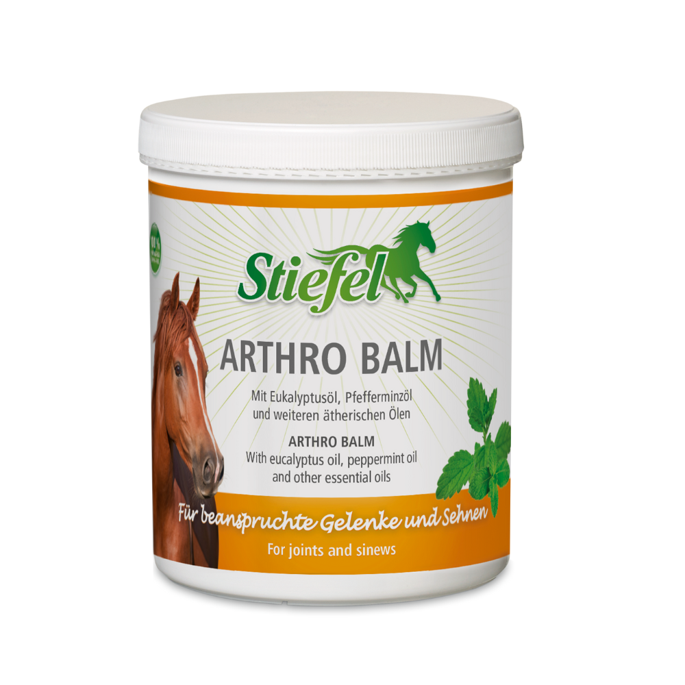 Stiefel Arthro Balm 1 Kilo
