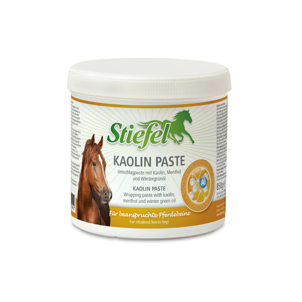 Stiefel Kaolin Paste 2kg